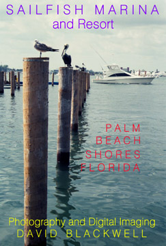 Click on Picture to go to Sailfish Marina